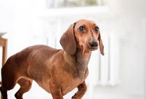 便宜的黑客联系方式：揭秘风险与合法替代方案，保护你的网络安全