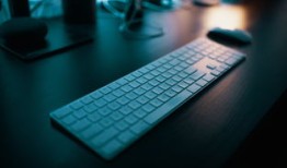 免费盗号的app光遇：揭秘游戏账号安全防护与盗号软件识别技巧