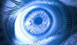 黑客技术接单是真的吗？揭秘真相与风险，教你安全避坑