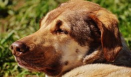 黑客基础知识入门教材：从零开始掌握网络安全，轻松保护你的数字世界