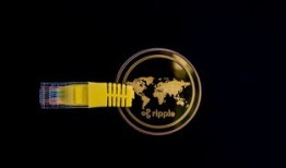 真正的黑客追款：揭秘数字货币被盗后的专业追回服务与防骗指南