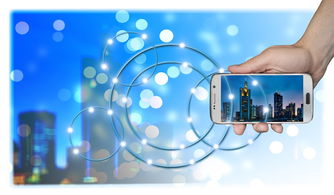 谁有免费接单的黑客qq号?揭秘网络安全陷阱与合法解决方案 谁有免费接单的黑客qq号?揭秘网络安全陷阱与合法解决方案