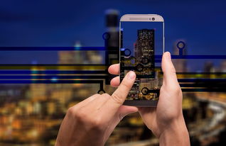 直接输入手机号就能定位免费?揭秘手机定位真相与安全使用方法 直接输入手机号就能定位免费?揭秘手机定位真相与安全使用方法