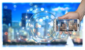 网络黑客的联系方式:揭秘暗网论坛与加密通讯背后的法律风险与安全陷阱 网络黑客的联系方式:揭秘暗网论坛与加密通讯背后的法律风险与安全陷阱